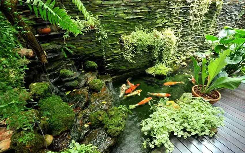 Sử dụng tiểu cảnh thác nước trên tường khi thiết kế sân vườn Nhật Bản