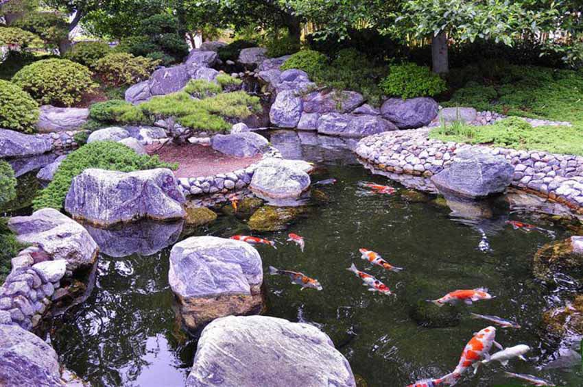 Thiết kế sân vườn Nhật Bản đẹp